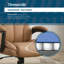 Fauteuil de bureau Adamstown® Danvers-110808751