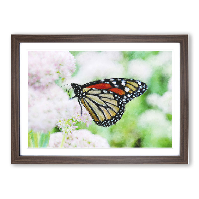 Monarch Butterfly - Picture Frame Graphic Art, 48cm H x 65cm W x 2cm D, Walnut