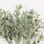 Branche d'eucalyptus artificiel 36 po 36 po