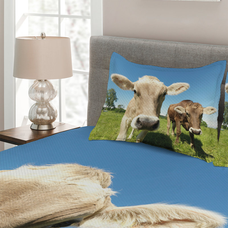 Farmhouse / Country Polyester Coverlet, King Bedspread + 2 Shams