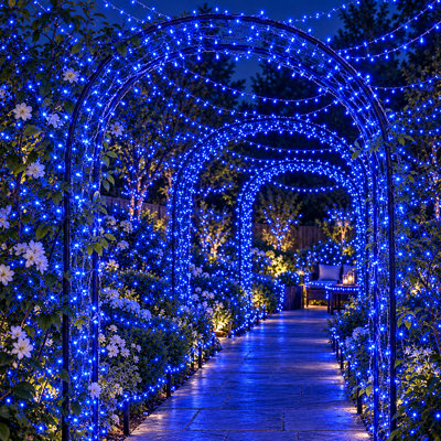 Plug-in Fairy Lights