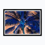 Tropical Palm In Orange & Blue Print