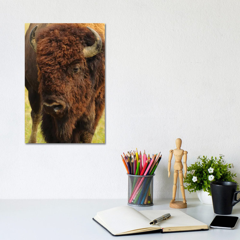 The Herd Bull by Brian Wolf - Wrapped Canvas Print, 20.32 cm H x 30.48 cm W