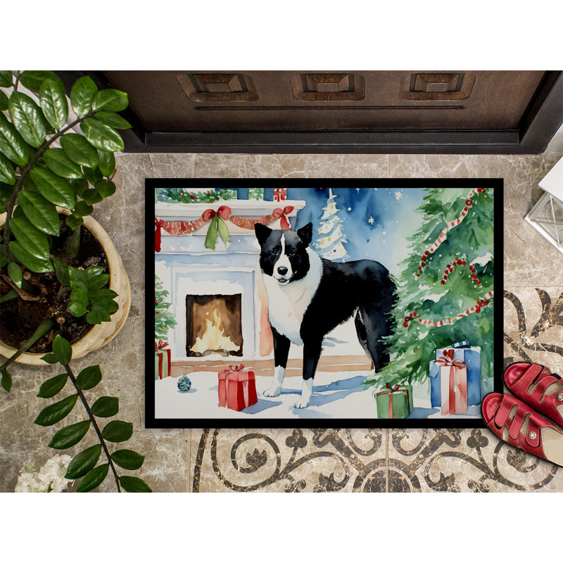 Tapis d'entrée antidérapant Jecho, L 24 po x L 36 po