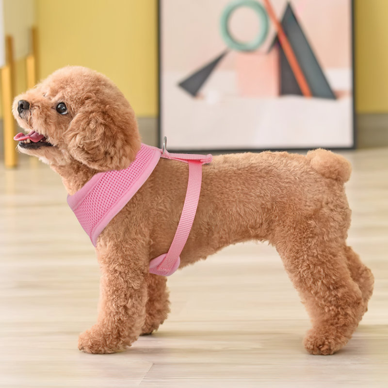 Harnais pour chien en maille, harnais anti-traction ajustable et rembourré avec anneau en D et boucle pour chiens, Rose