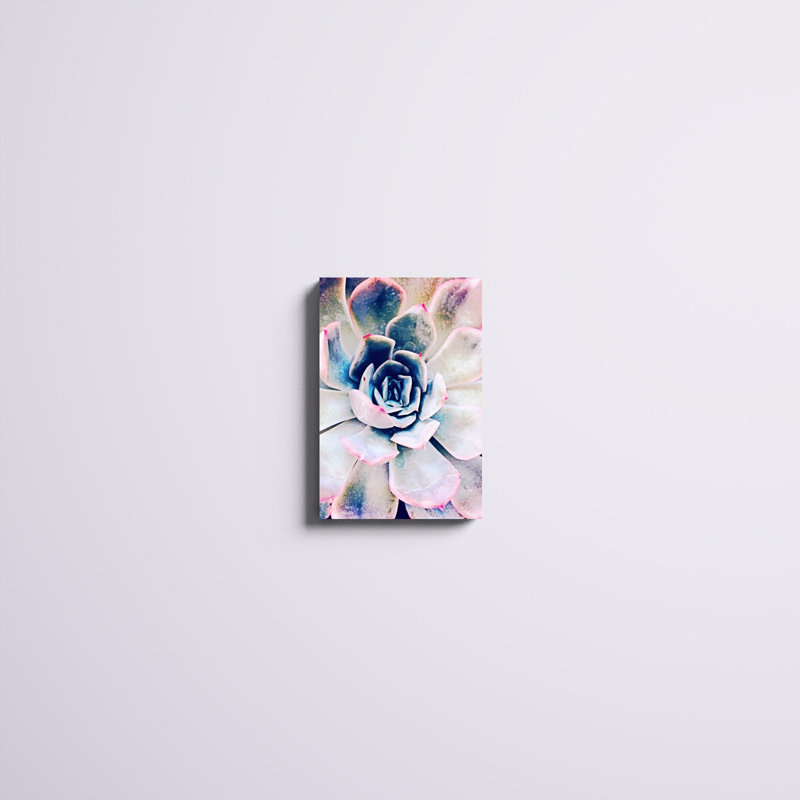 «Pastel Succulent Beauty II», photographie sur toile, H 18 po x l 12 po