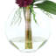 Orchid And Sedum Arrangement In Glass Vase