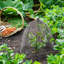 Wired Plant Protector-956071654-956071655