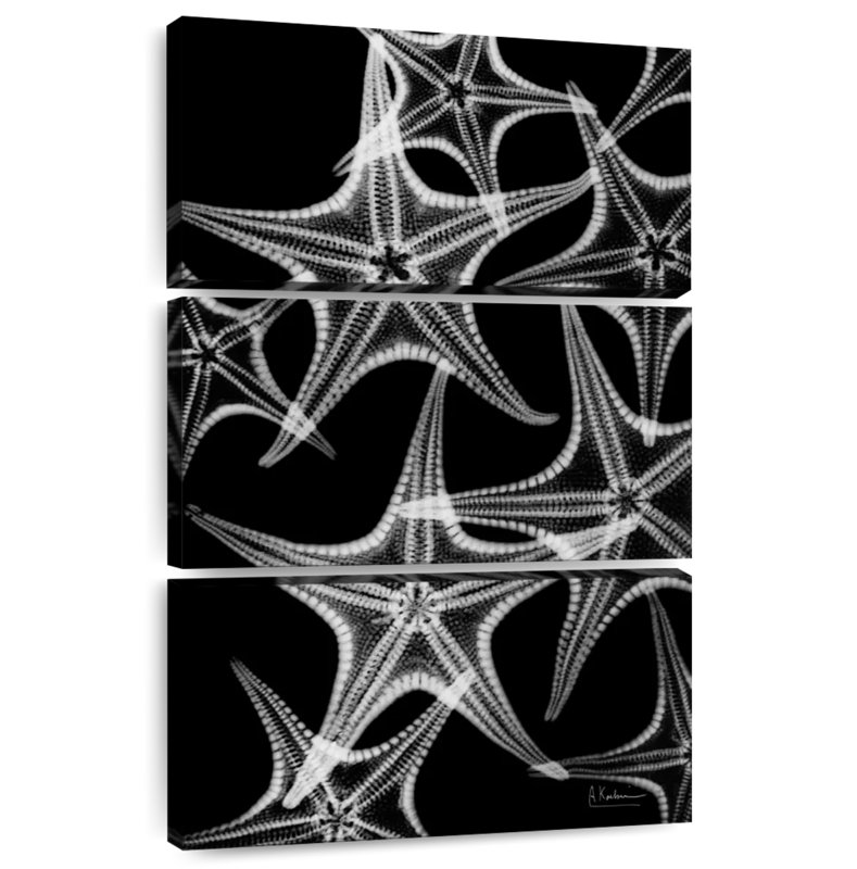 Brampt White Starfish, 65" H x 42" W