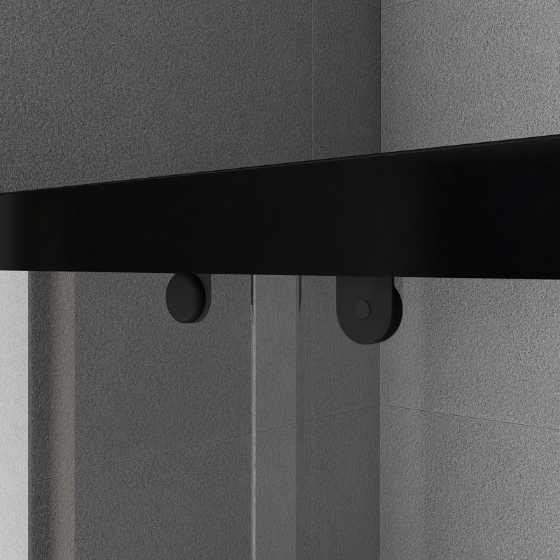 Porte de douche coulissante double l 44 à 48 po x H 75 po, Noir mat