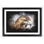Hawk - Picture Frame Graphic Art Print-56863368-56863369