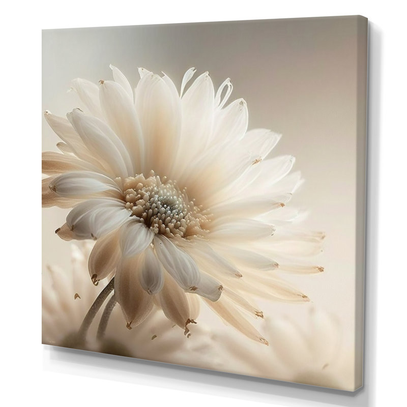 Art sur toile Gerbera blanc III - Gerbera, H 16 po x l 16 po, Toile tendue