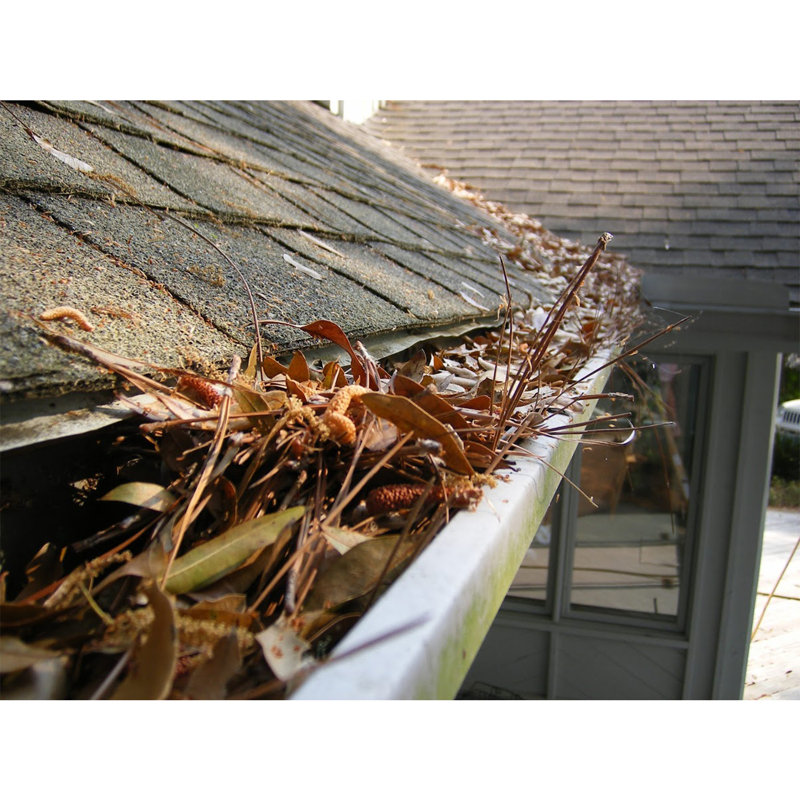 GutterBrush Simple Roof Rain Leaf Gutter Guard Cover w/ Bristles, 4.2" W x 180" L