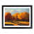 Black Framed selected