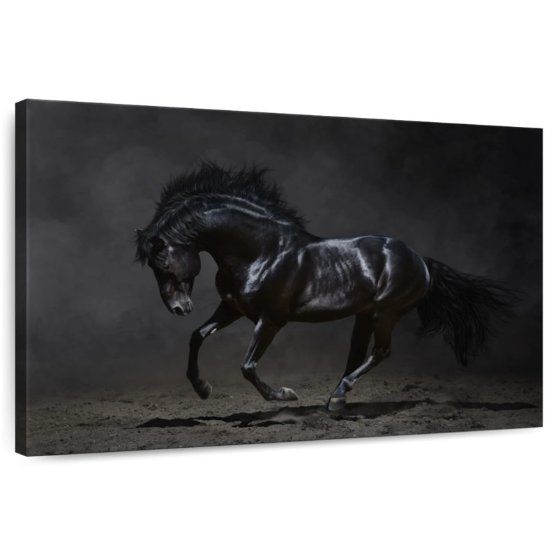 Brampt Shiny Black Horse, 30" H x 45" W