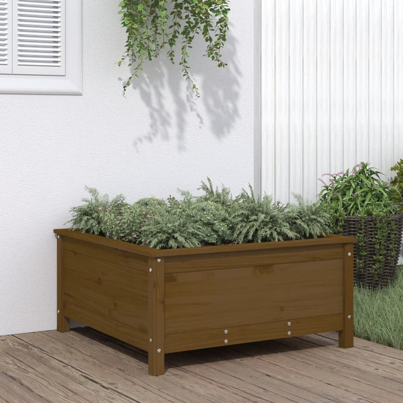 Bojana Wood Pot Planter, Pine, 39cm H x 82.5cm W x 82.5cm D, Honey Brown