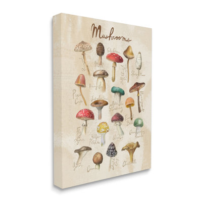 " Vintage Mushroom Types Diagram " Graphic Art Print