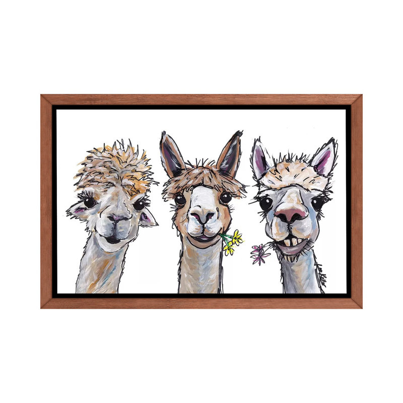 «Alpacas Trio II», reproduction de photo, Cadre bois classique, H 18 po x l 26 po x P 1,5 po