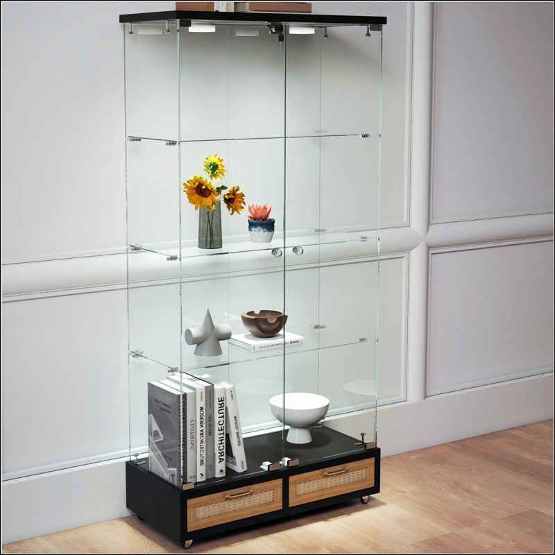 Vitrine moderne en verre, Naturel/noir