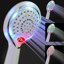 Chevelle Handheld Shower Head