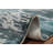 Serene Ocean View Modern Rug 6x8 with Soft Blue Gradient Patterns