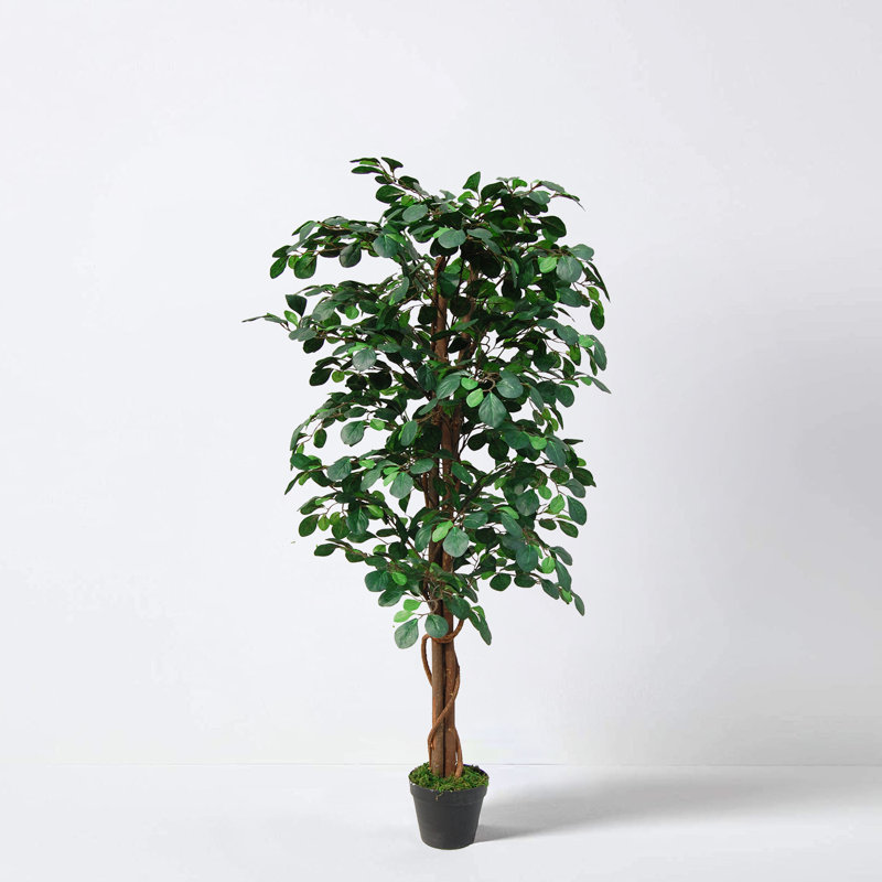 Tradala Trees 135cm Faux Coin Tree in Pot, Black