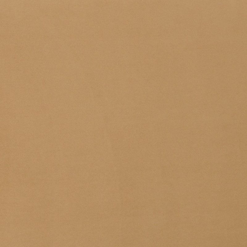 Queen Light Brown Velvet Upholstered Bed with Headboard