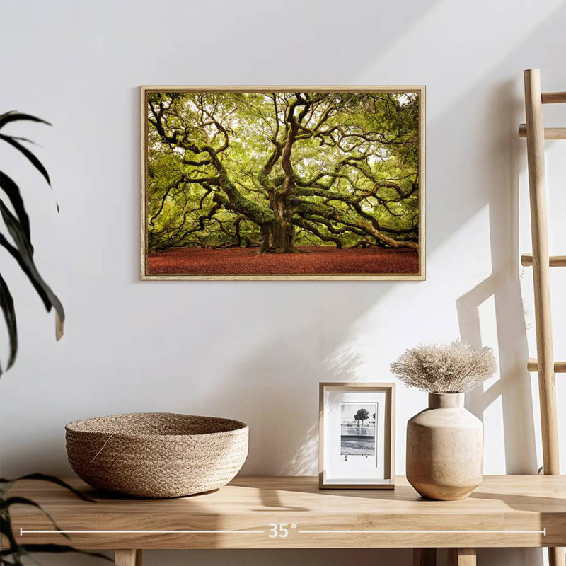 Chêne Charleston Angel, 19 po x 13 po, Cadre flottant en bois naturel