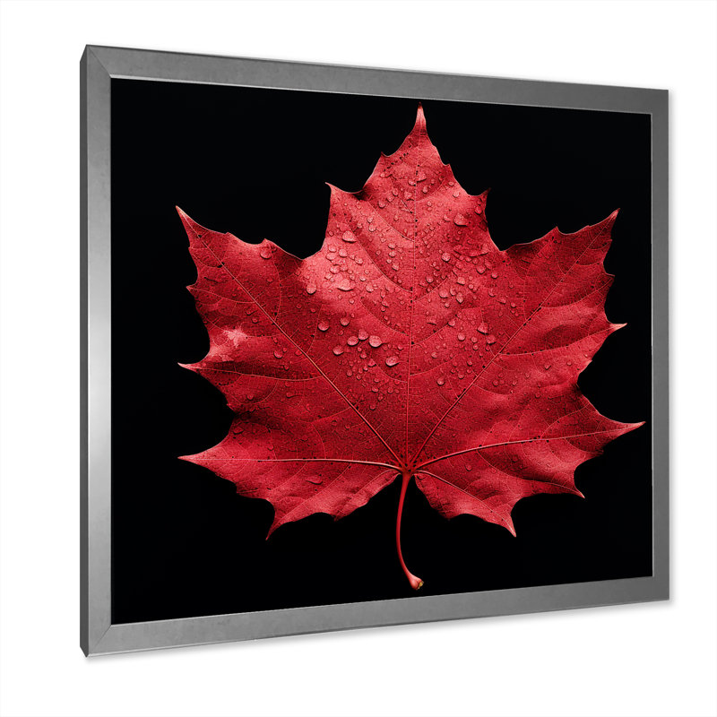 Red Leaves Red Ruby I, H 24 po x l 24 po x P 1 po, Cadre simple argenté