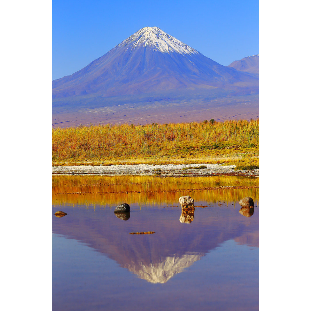 Laguna Cejar von Agustavop - Druck