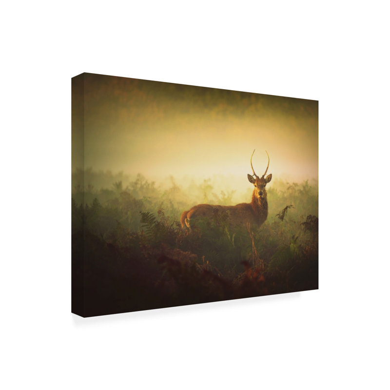 Art sur toile Robert Fabrowski, H 14 po x l 19 po