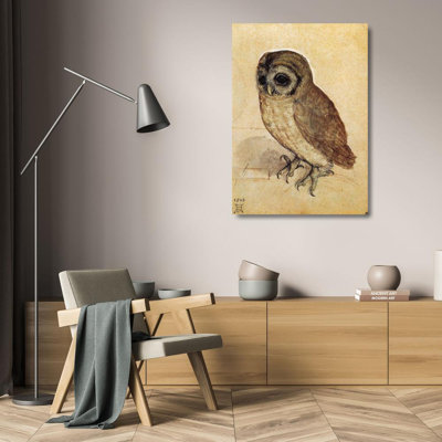 Little Owl, c.1508