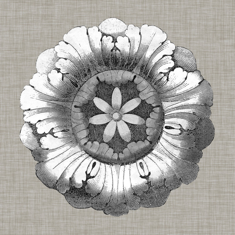 Neutral Rosette Detail II by Vision Studio - Wrapped Canvas Painting, 91cm H x 91cm W