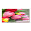 Lizmar 50cm W x 100cm L Glass Peel and Stick Panel