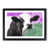 Black Framed selected