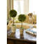 Preserved Greens 23.25" Single Ball Topiary-846903776
