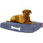 Lit pour chien Doggiel pourquoi-9974047-9974045