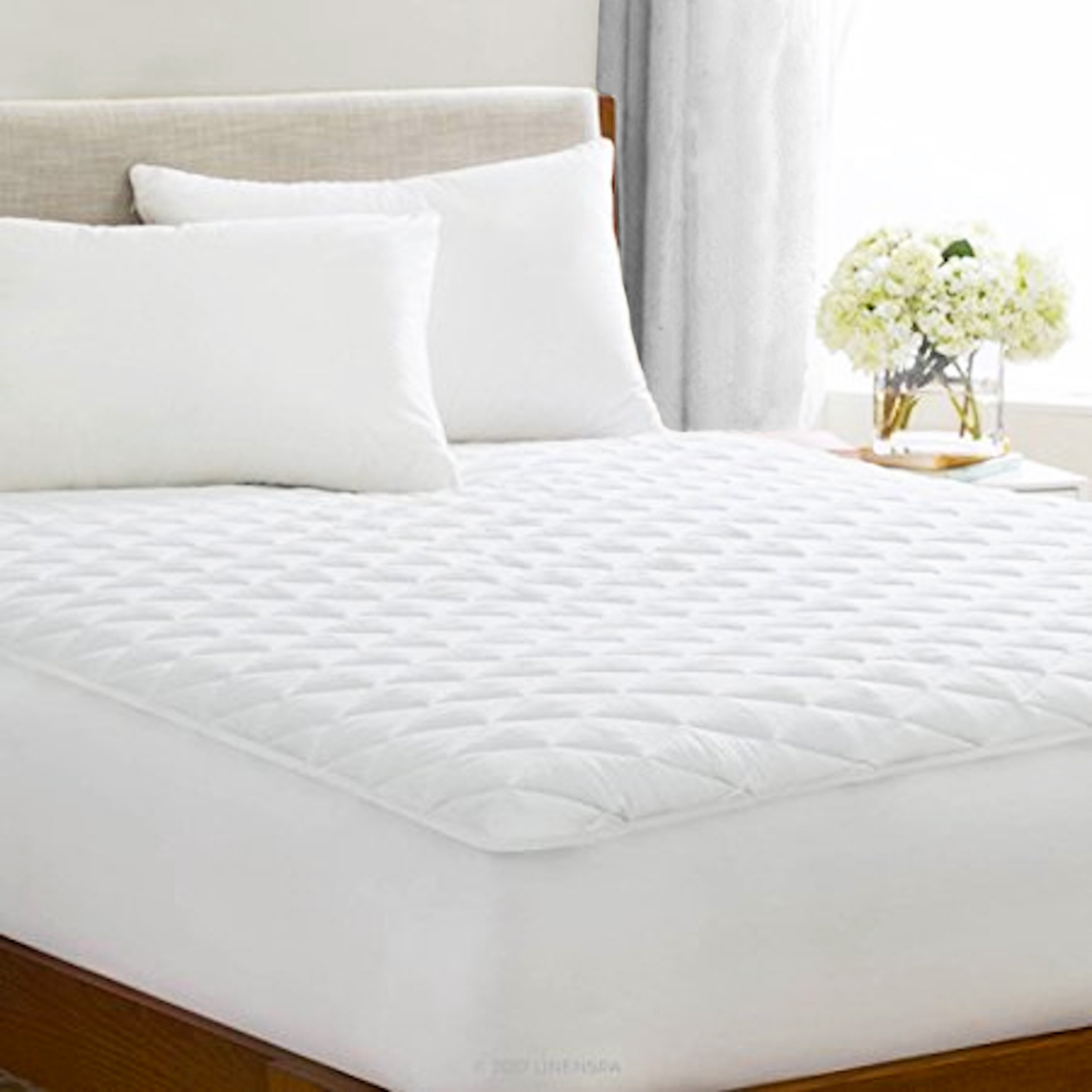 Tadpoles Waterproof Fitted Mattress Protector Mattress Protector Case