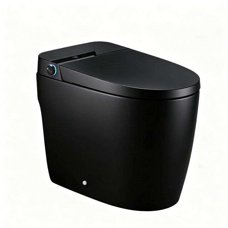 Toilette intelligente noire conforme aux normes ADA avec siège chauffant, bidet intégré, séchoir à air chaud, ouverture automatique du couvercle, télécommande, veilleuse, entraxe de 30,5 cm (12 po).