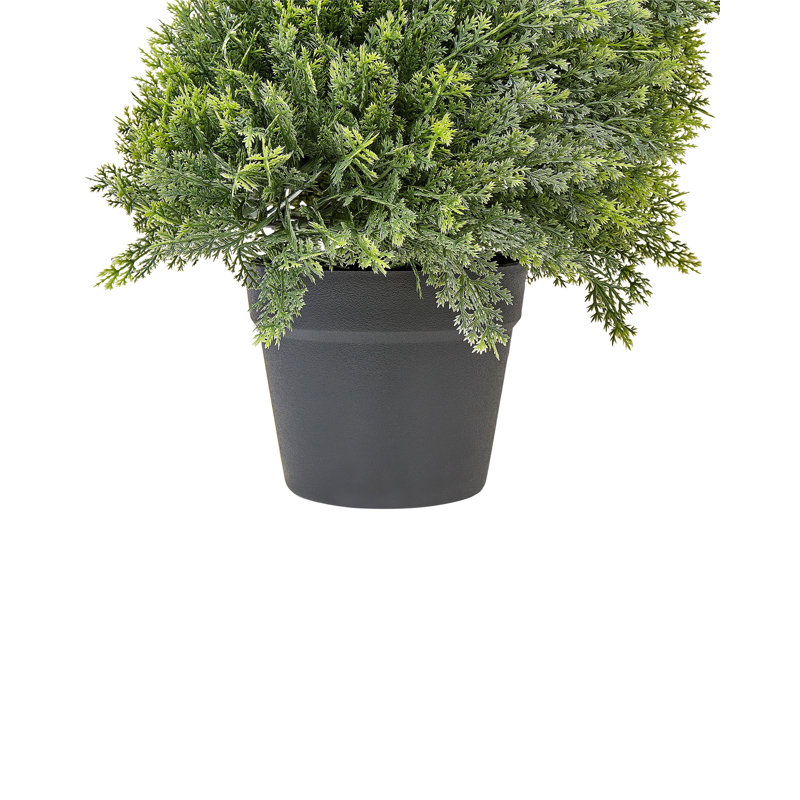 126cm Faux Cypress Tree in Plastic / Acrylic Planter