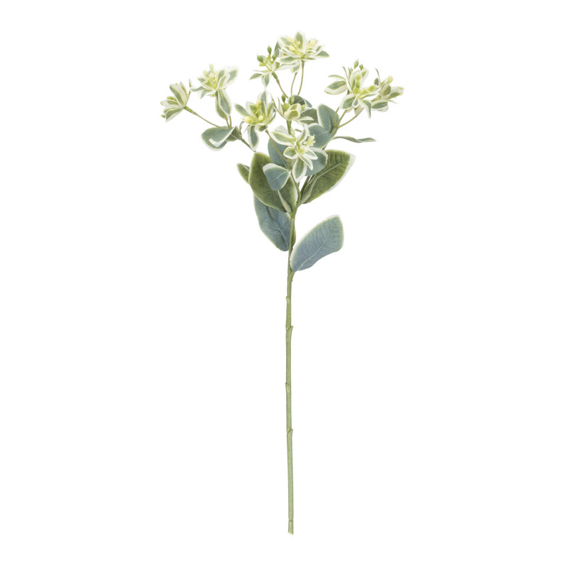 Tige florale euphorbe (ensemble de 6)