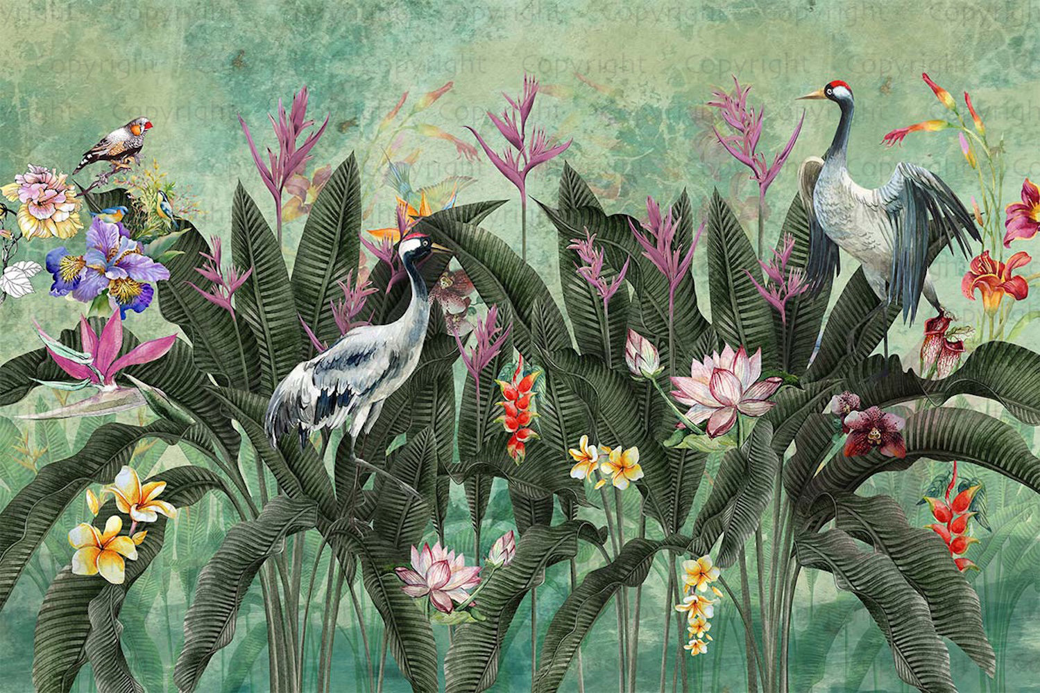 Bay Isle Home™ Tropical Paradise Wallpaper Mural Exotic Birds And Lush ...