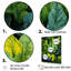 «Urban Leaves Forest Greenery I», reproduction sur toile-628691662-628691657