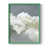 Cadre simple vert