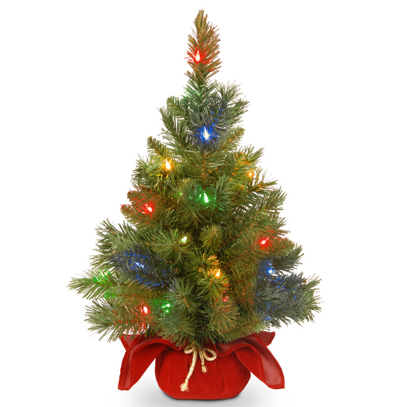 2ft. Majestic Fir Tree, Red Base with Multicolor LED Lights