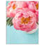 Bouquet de lumières rose pivoine fleurs-impression-505266427-516172891