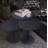 Dimitris Coffee Table