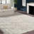 Chewning Performance Oriental Rug-129806130