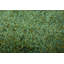 New Glamour Hand Tufted Green Rug-7060108