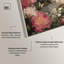 Bijouterie tigre, impression florale encadrée, reproduction murale encadrée par Art Remedy, cadre argenté, 36 x 54-1298298944-1298299826